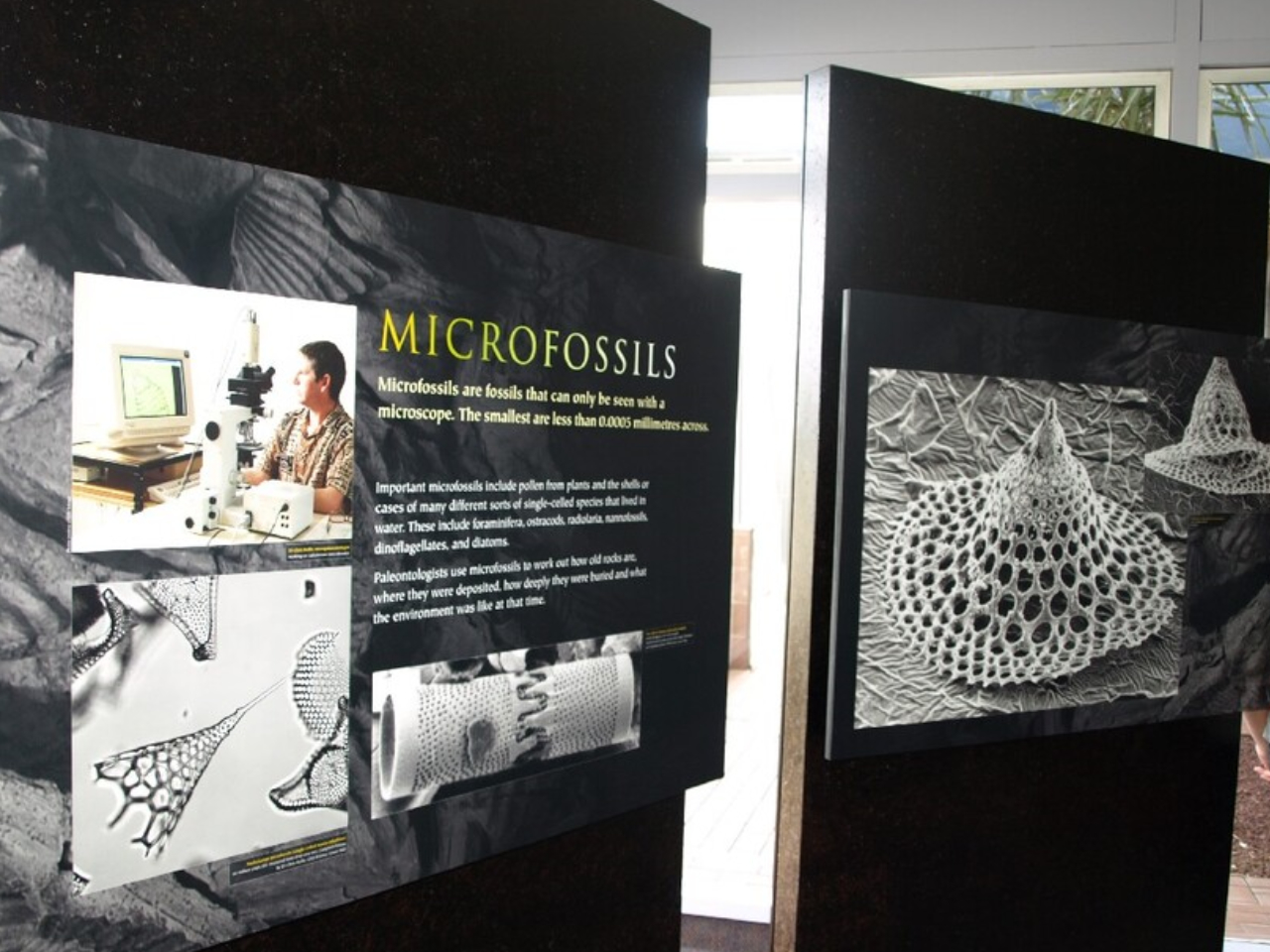 Microfossils Exhibit