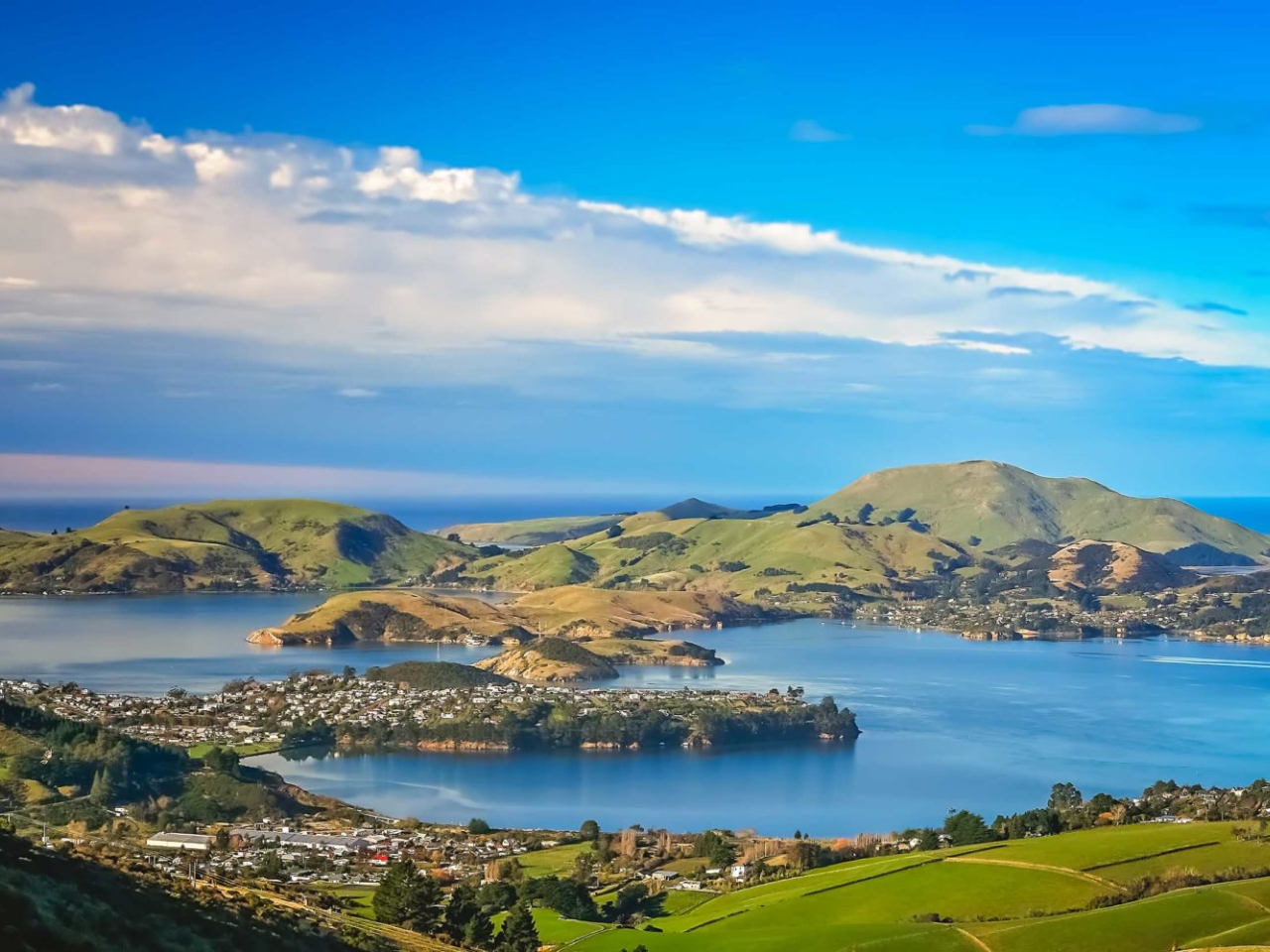 Dunedin